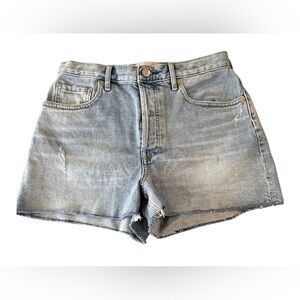 Everlane Denim Jean Shorts Blue